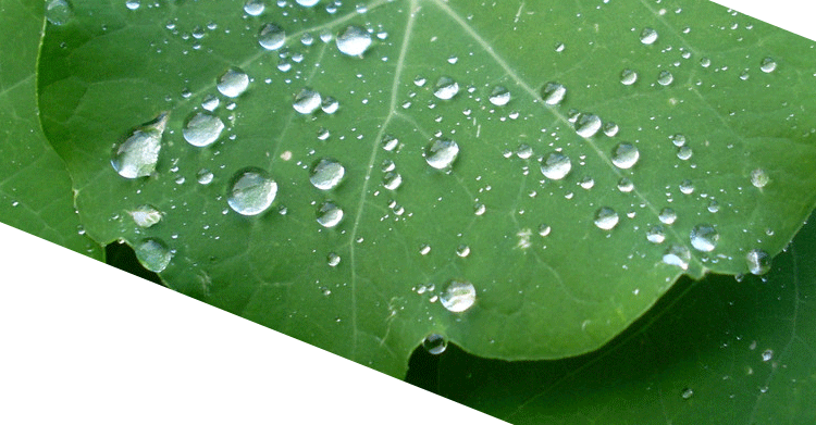 水性涂料助剂中我为什么要买涂料荷叶疏水剂AD3105