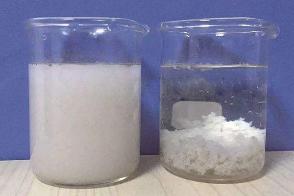 timg (2).jpg timg (2).jpg